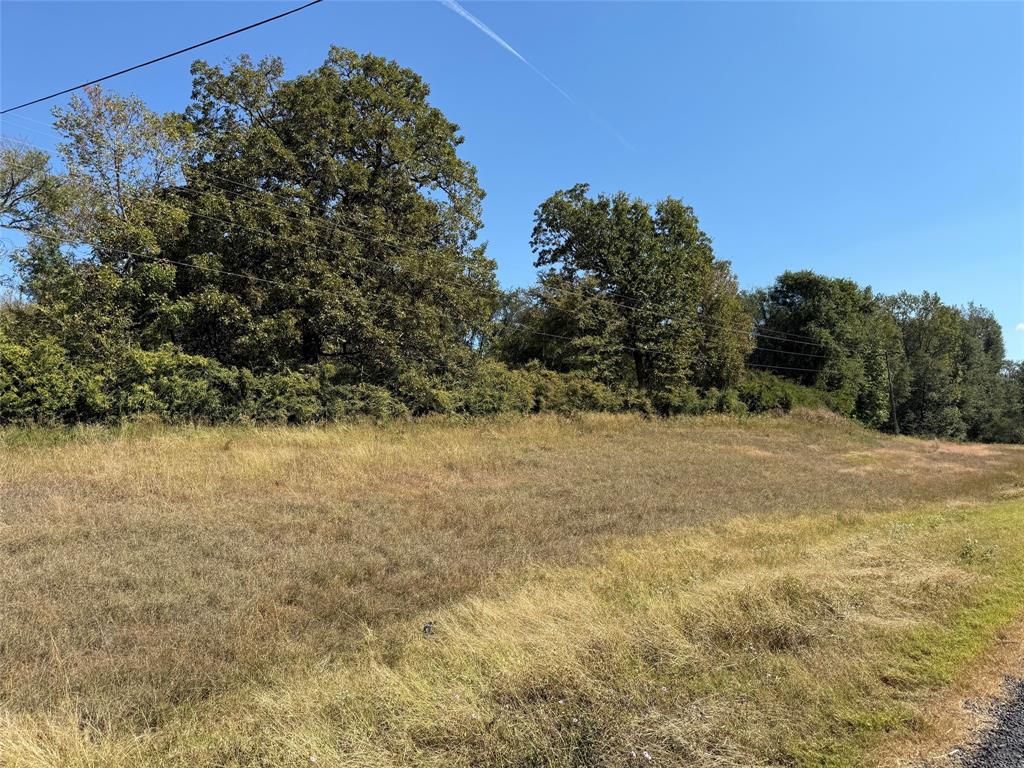 Tbd E Highway 80 Property Photo 10