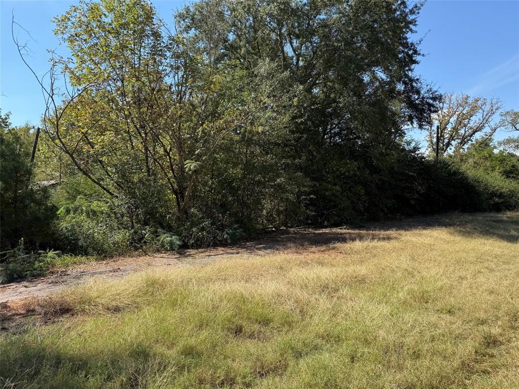 Tbd E Highway 80 Property Photo 11