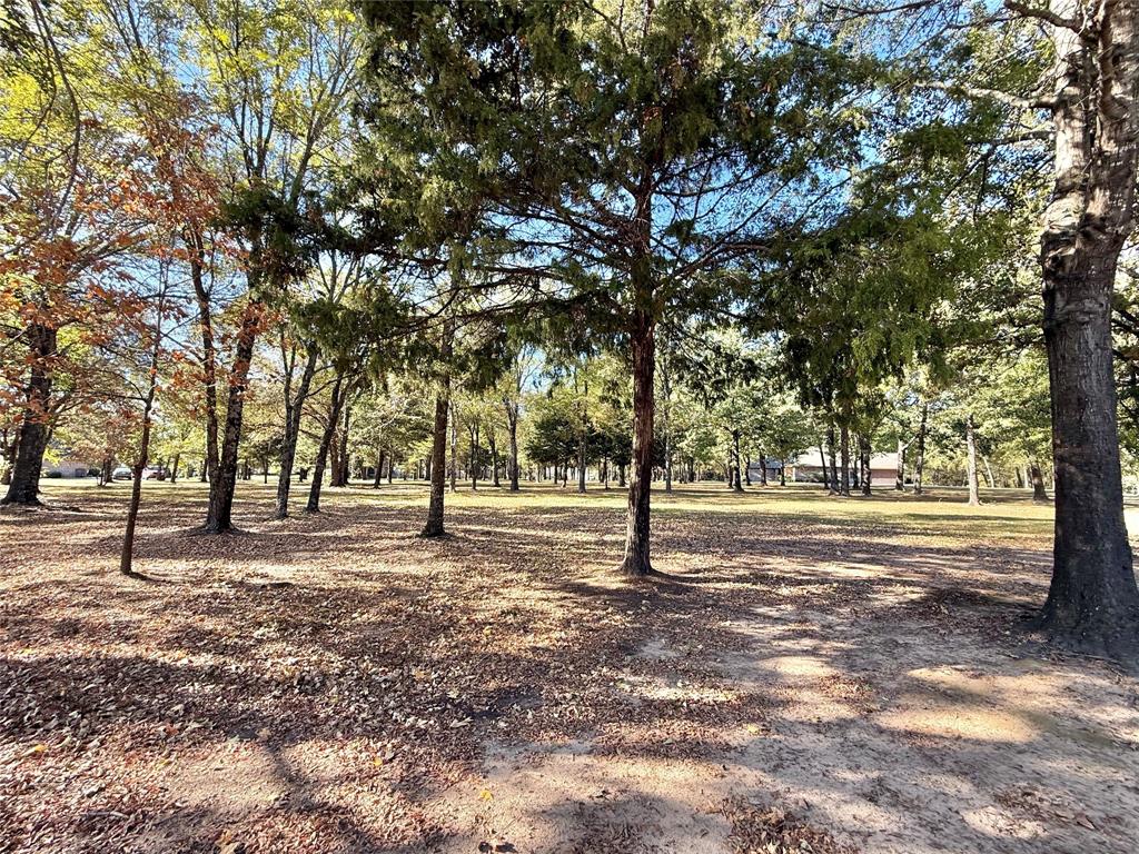 Tbd Private Road 5943 Property Photo 8