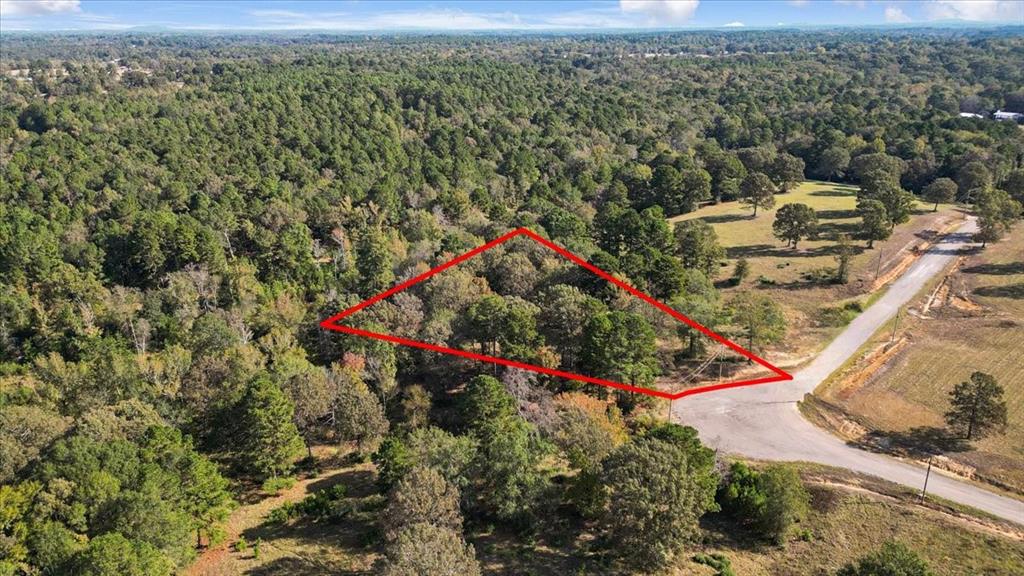 Tbd Pr 3398 Road Property Photo 1