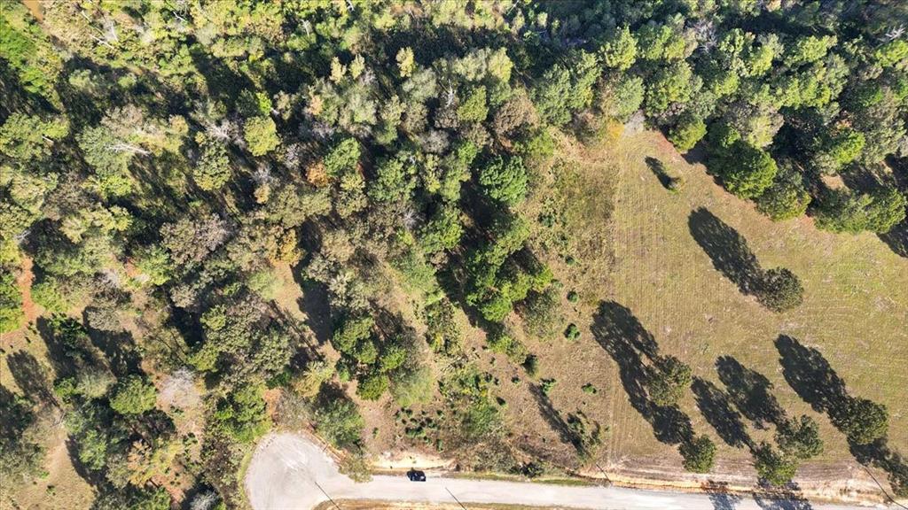 Tbd Pr 3398 Road Property Photo 2