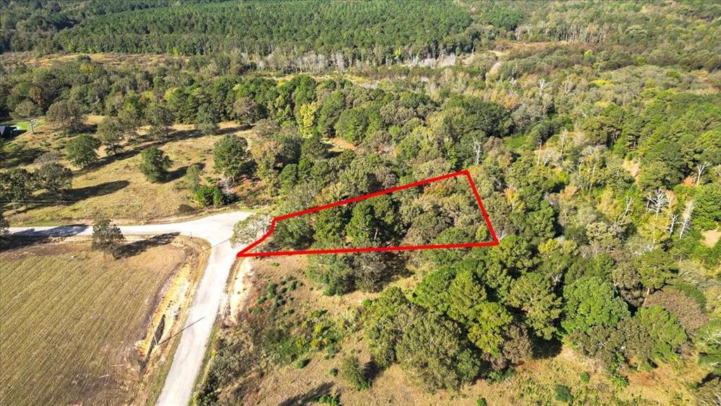 Tbd Pr 3398 Road Property Photo 3