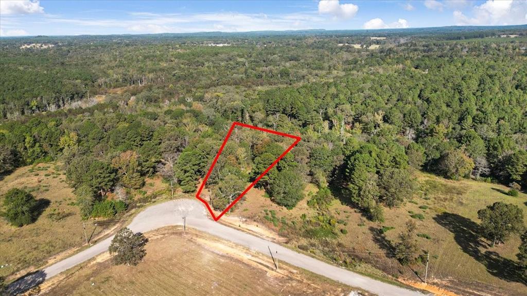 Tbd Pr 3398 Road Property Photo 4