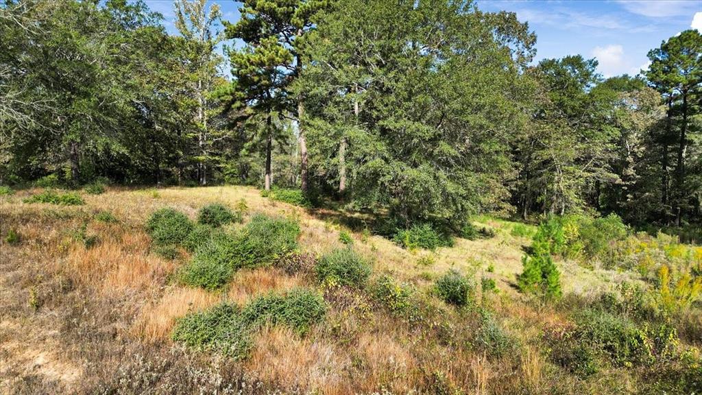 Tbd Pr 3398 Road Property Photo 7