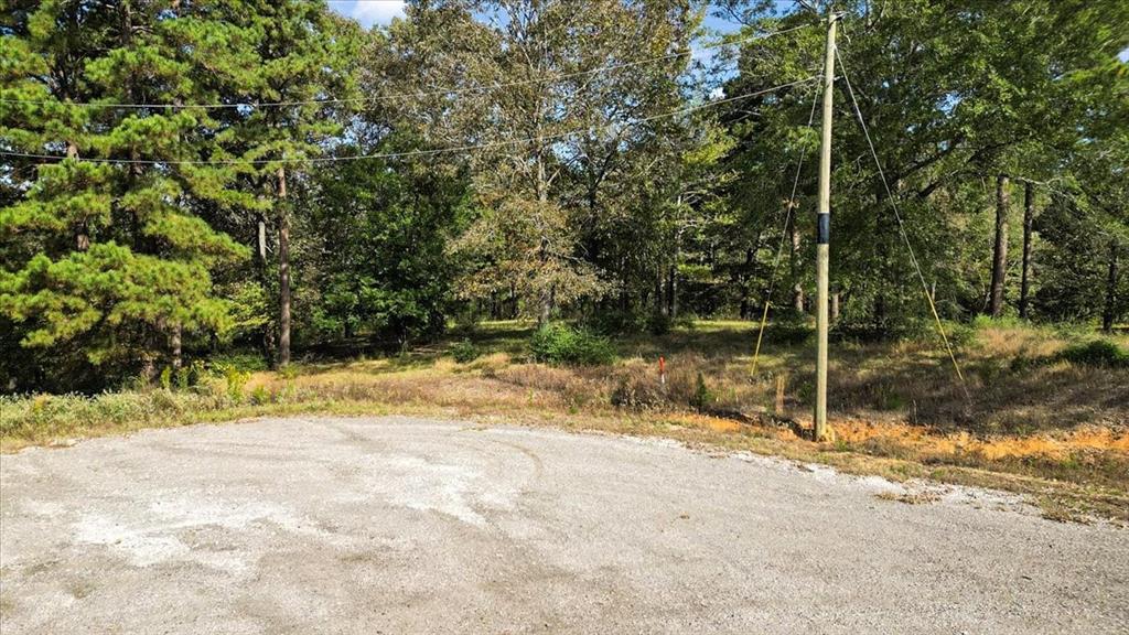 Tbd Pr 3398 Road Property Photo 8