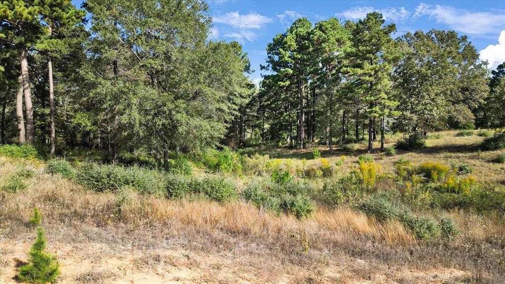 Tbd Pr 3398 Road Property Photo 9
