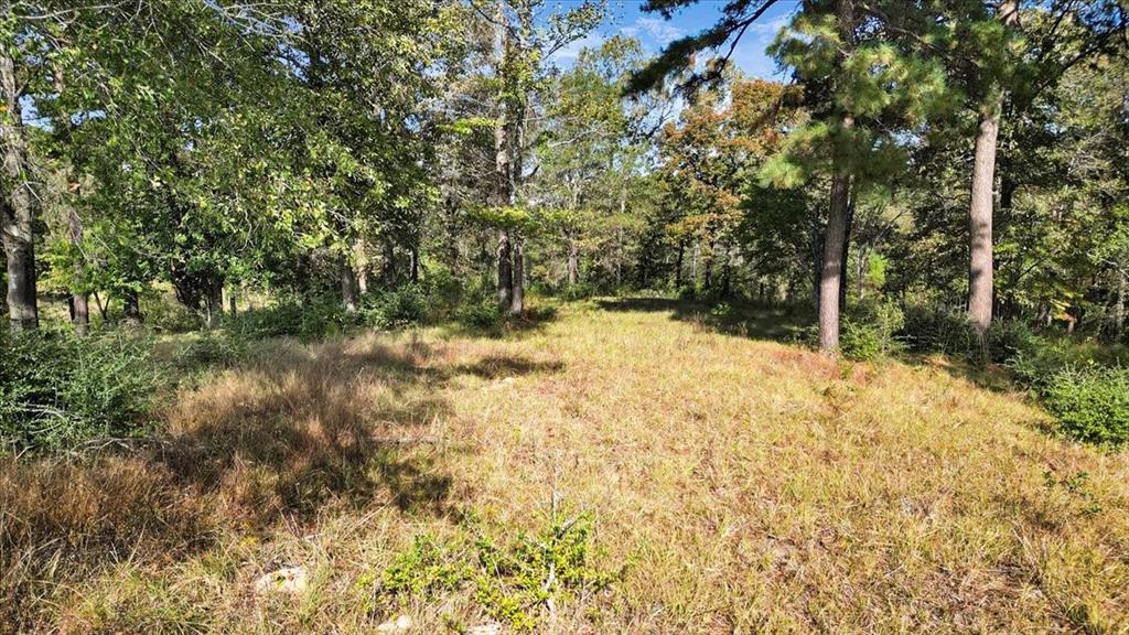 Tbd Pr 3398 Road Property Photo 10