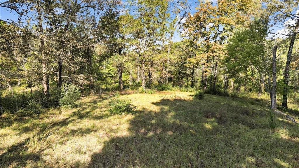 Tbd Pr 3398 Road Property Photo 11