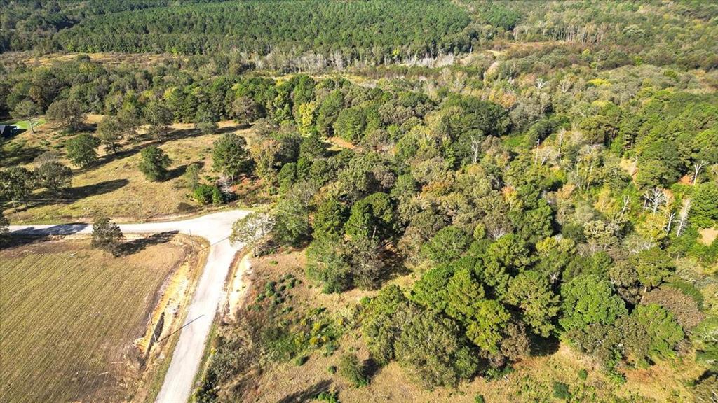 Tbd Pr 3398 Road Property Photo 12