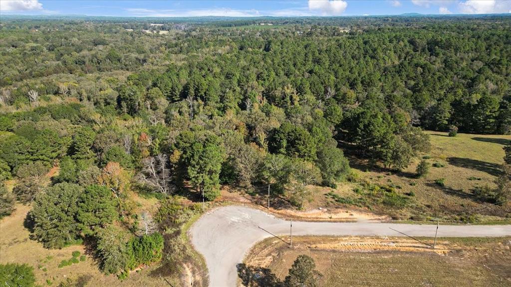 Tbd Pr 3398 Road Property Photo 13