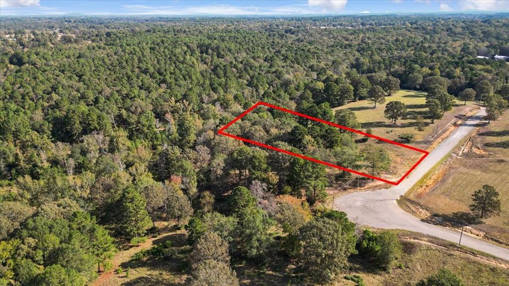 Tbd Pr 3398 Road Property Photo 16