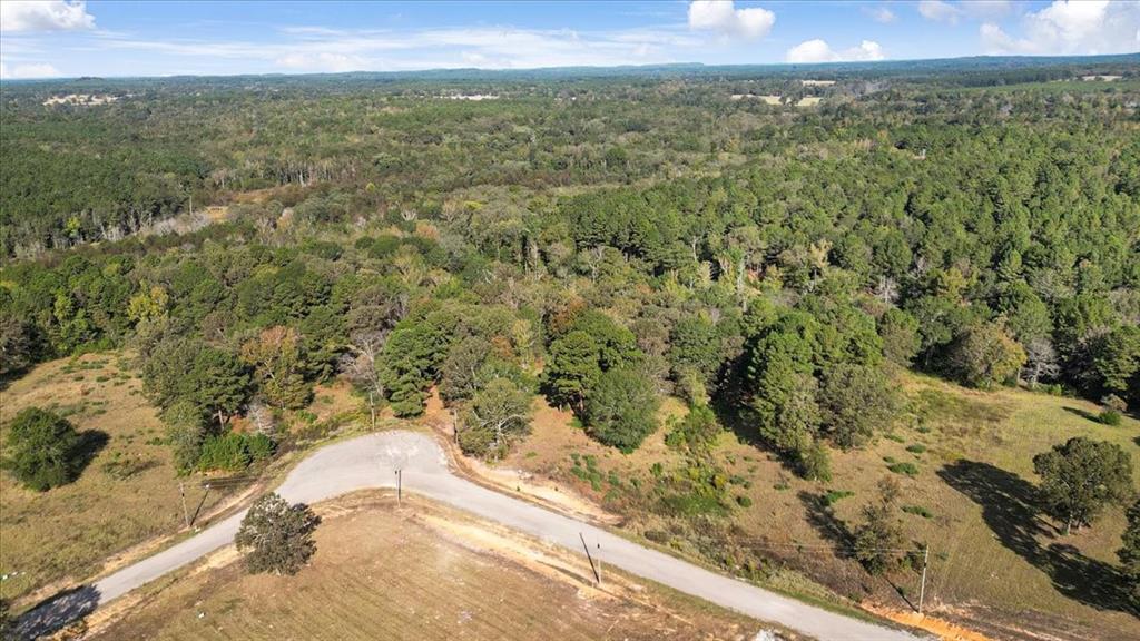 Tbd Pr 3398 Road Property Photo 17