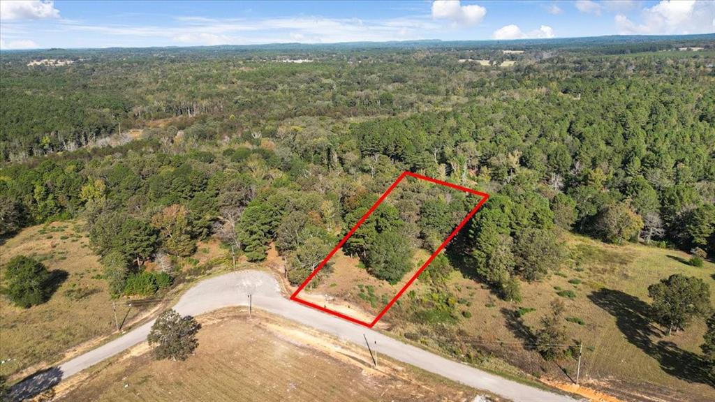 Tbd Pr 3398 Road Property Photo 18