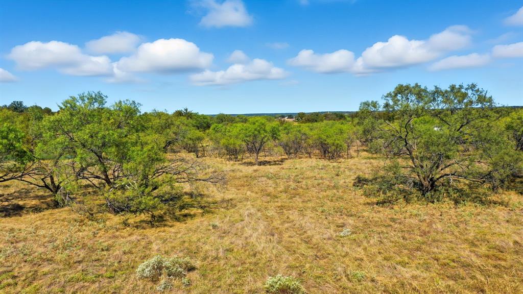 Tbd S Fm Rd 113 Property Photo 11