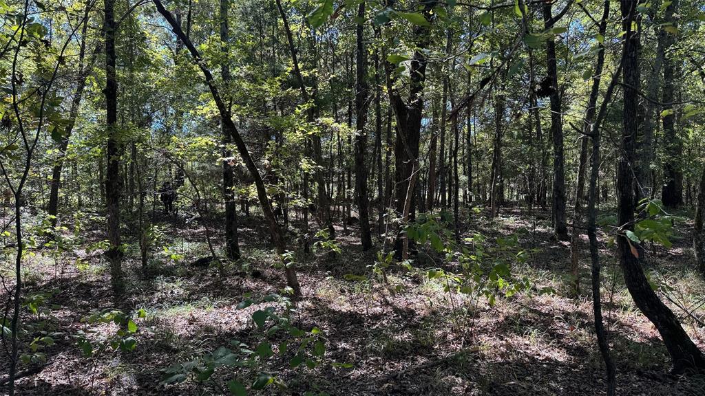 75 County Road 2115 Property Photo 1