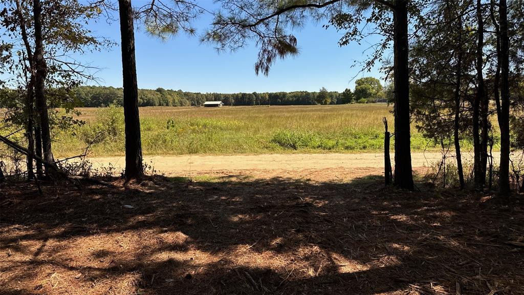 75 County Road 2115 Property Photo 2