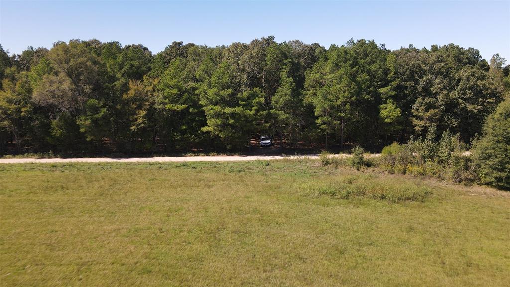 75 County Road 2115 Property Photo 6