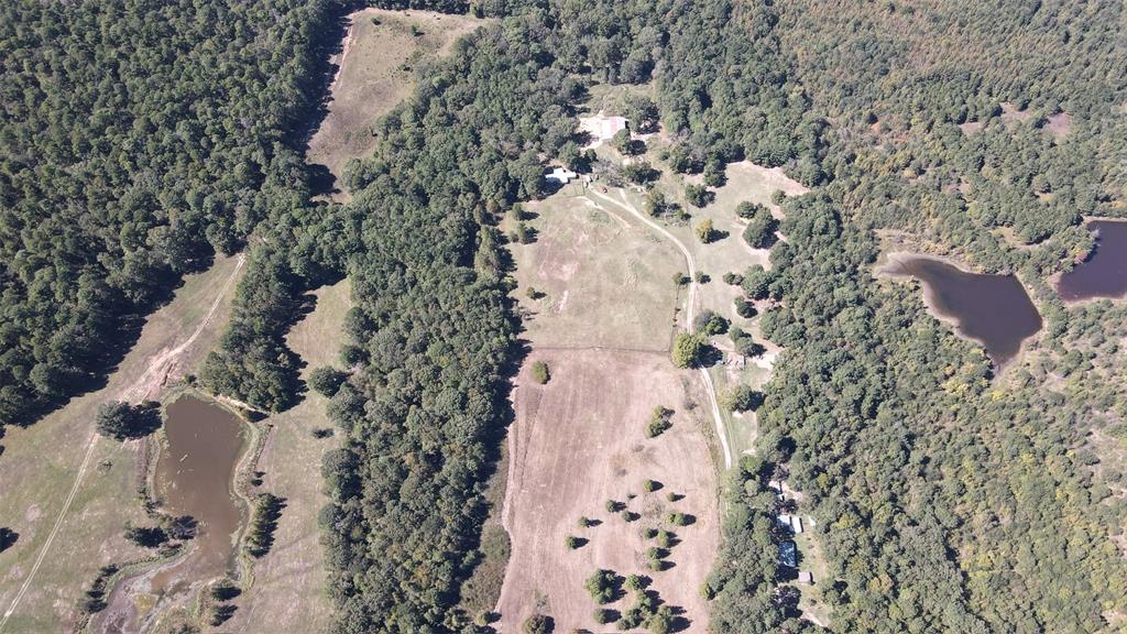 75 County Road 2115 Property Photo 9