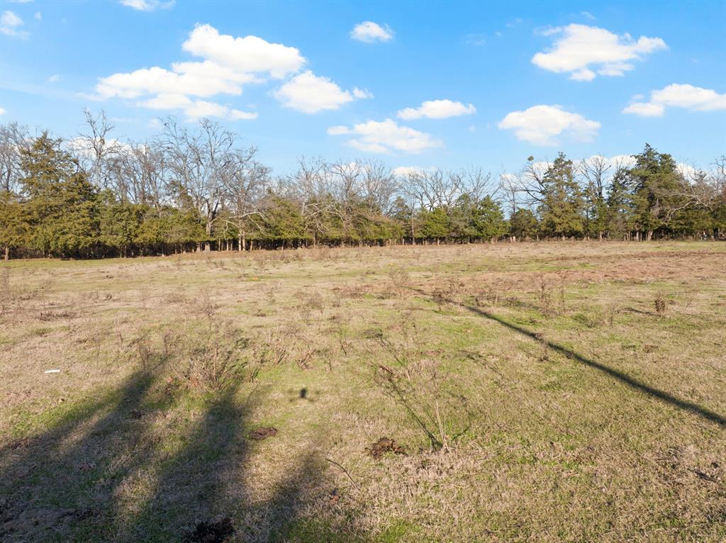 Tbd County Road 1468 Property Photo 6