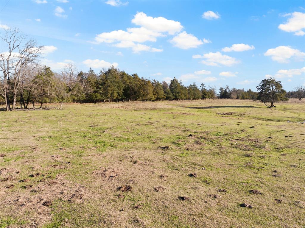 Tbd County Road 1468 Property Photo 7