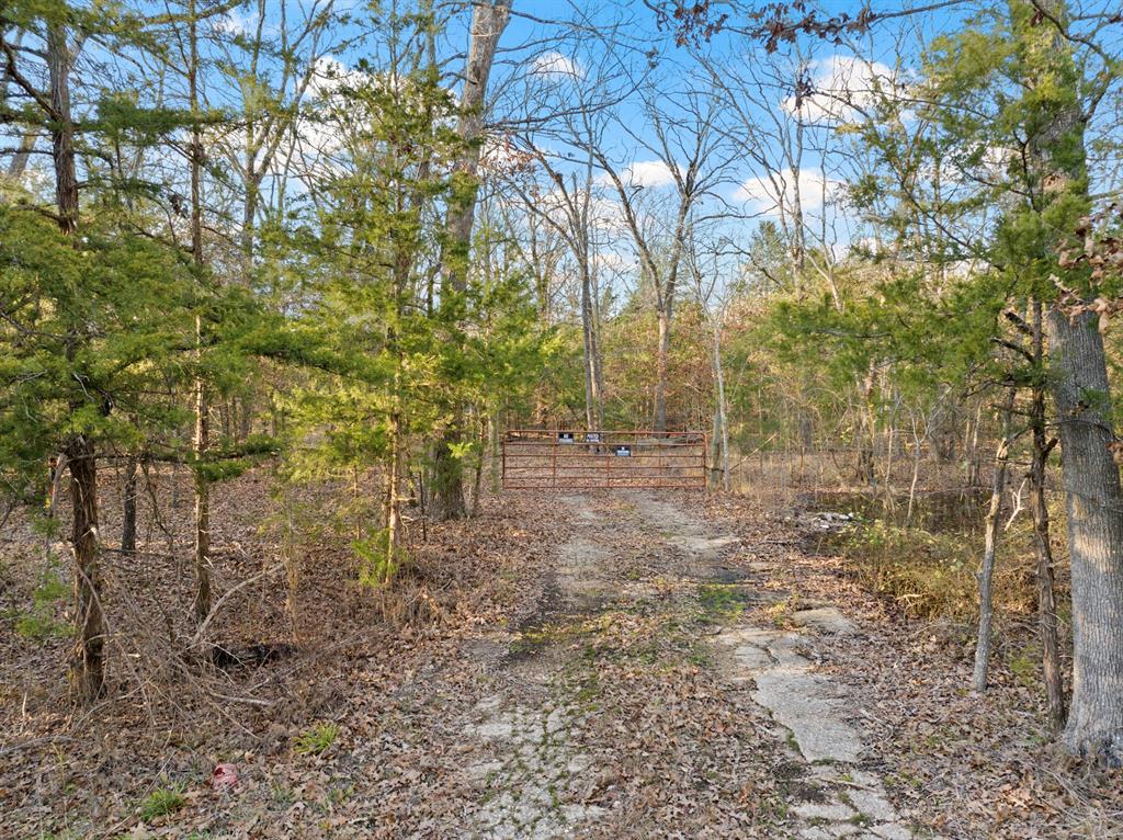 Tbd County Road 1468 Property Photo 16