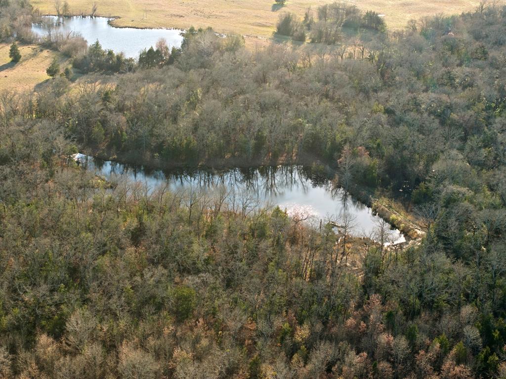 Tbd County Road 1468 Property Photo 18
