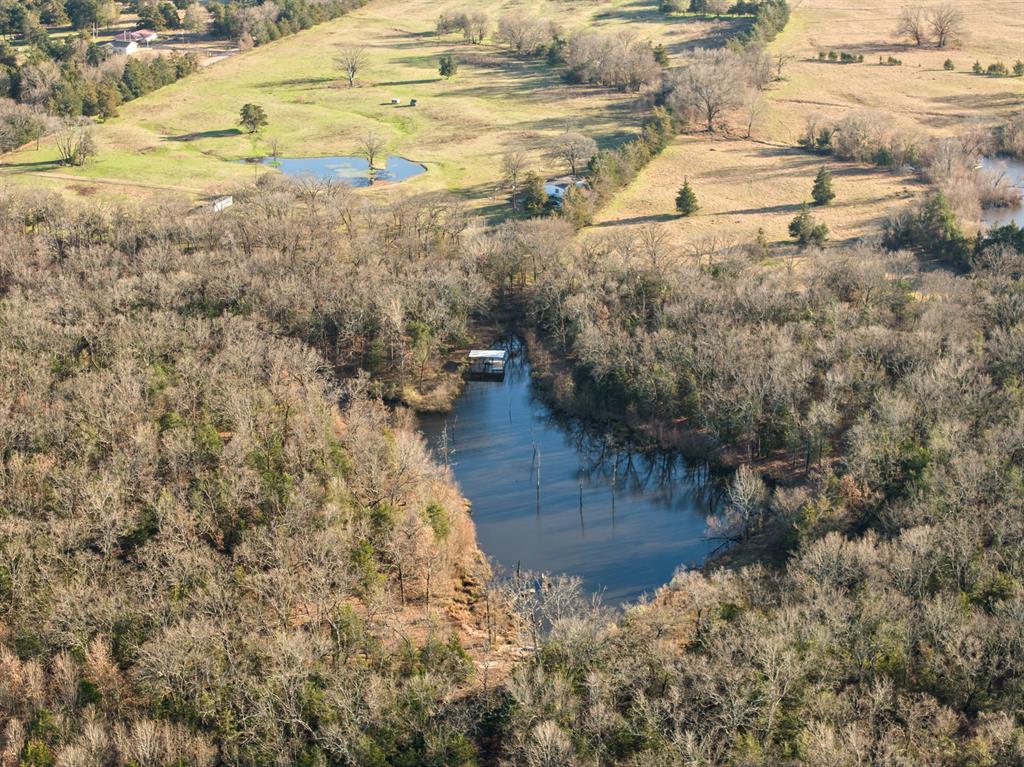 Tbd County Road 1468 Property Photo 19