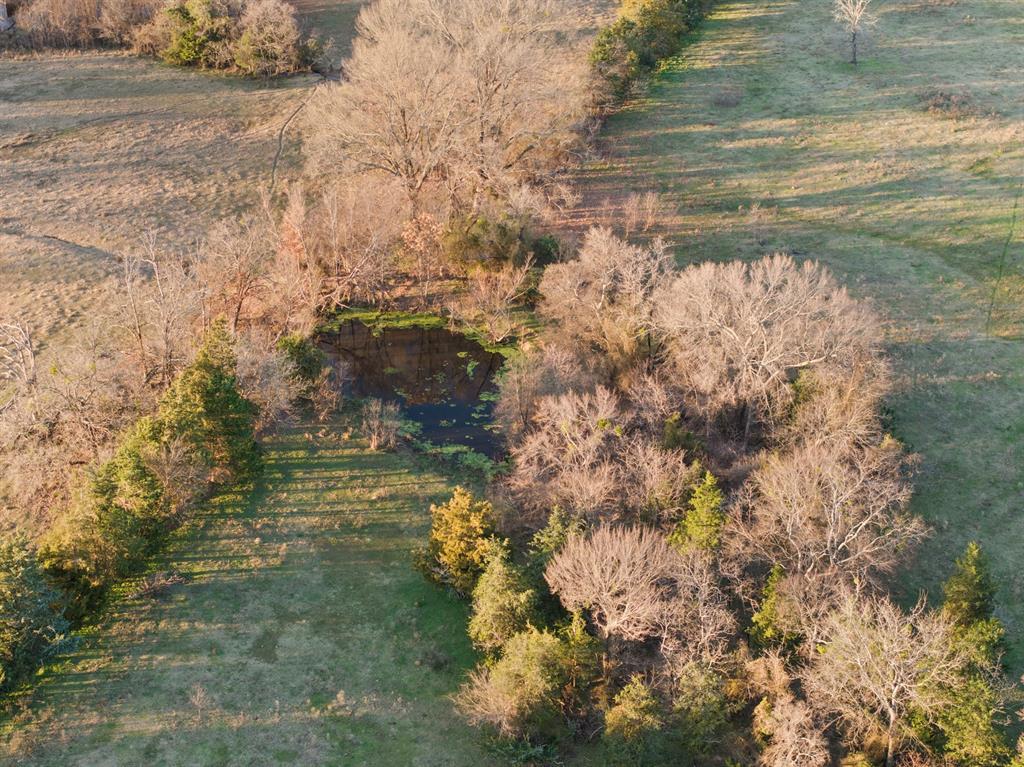 Tbd County Road 1468 Property Photo 23