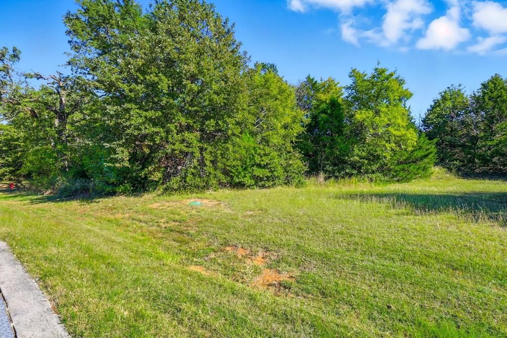 Tbd Roaring Fork Circle Property Photo 6