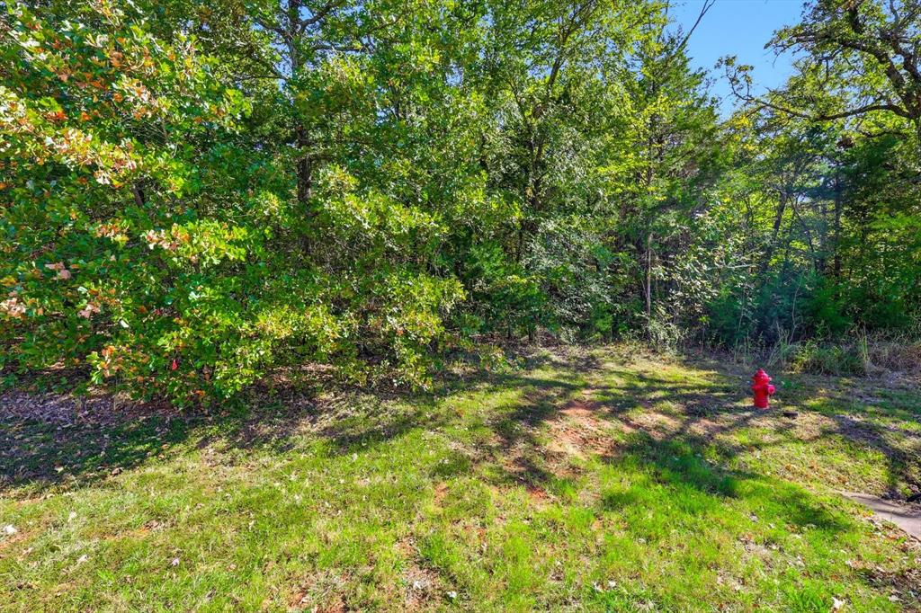 Tbd Roaring Fork Circle Property Photo 8