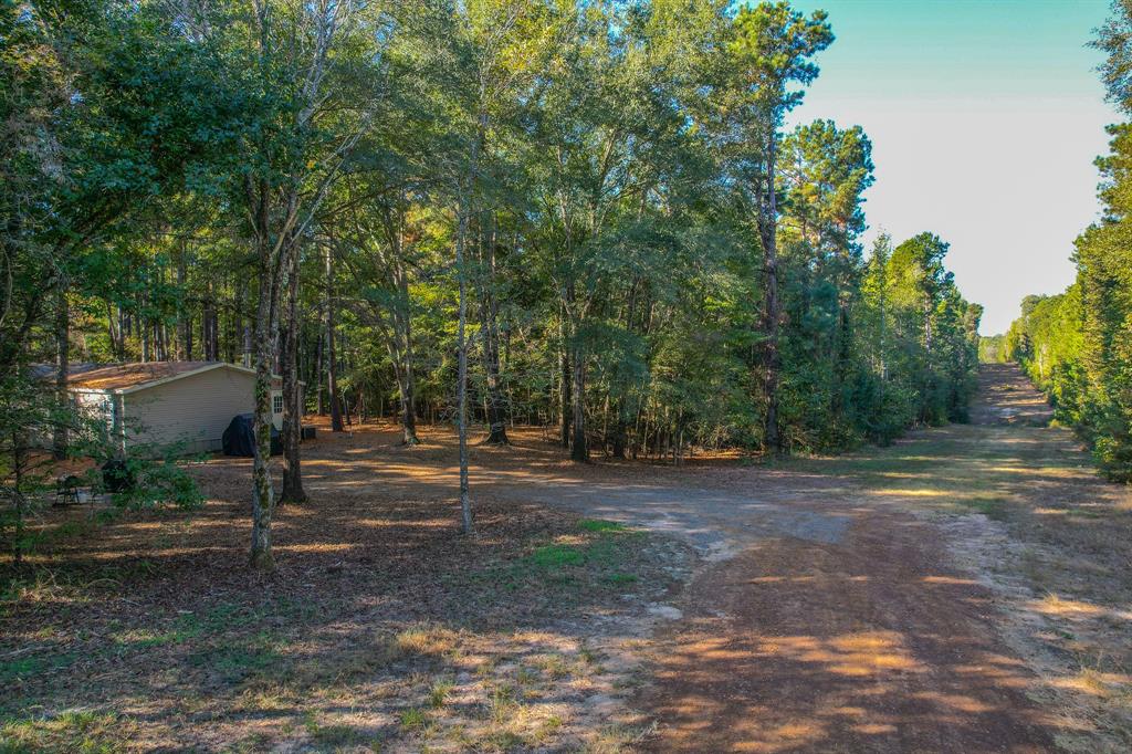 0 County Road 3409 Property Photo 1