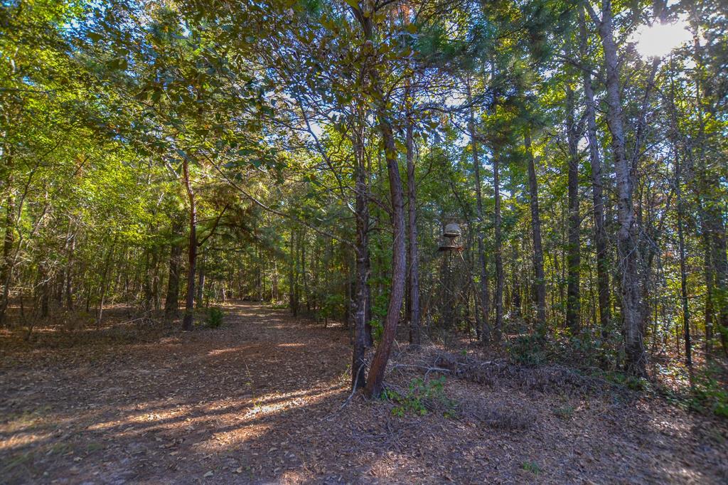 0 County Road 3409 Property Photo 6