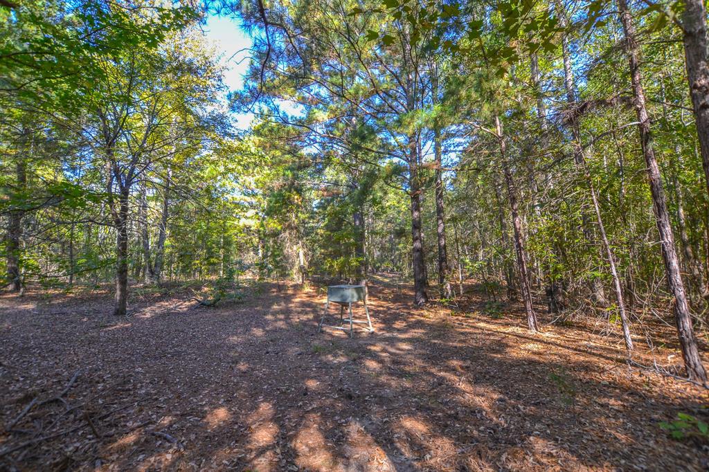 0 County Road 3409 Property Photo 7