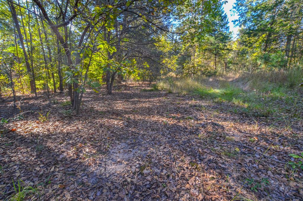 0 County Road 3409 Property Photo 8