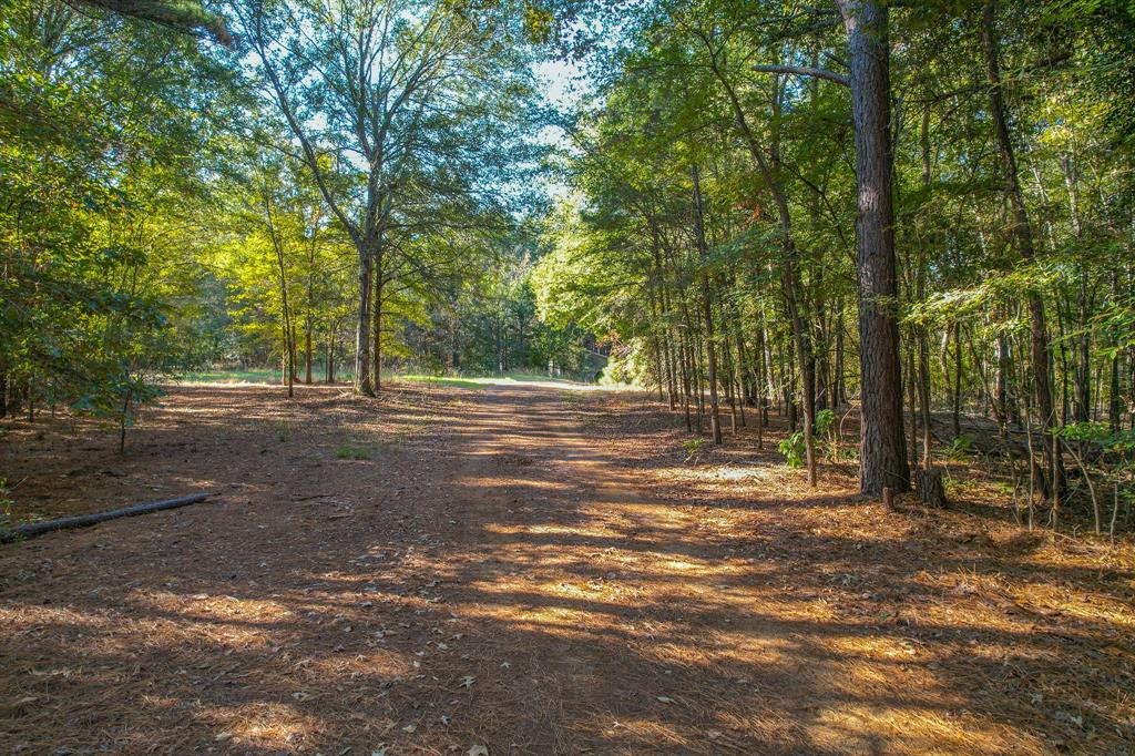 0 County Road 3409 Property Photo 25