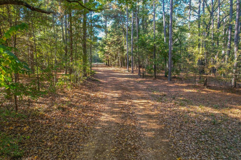 0 County Road 3409 Property Photo 26