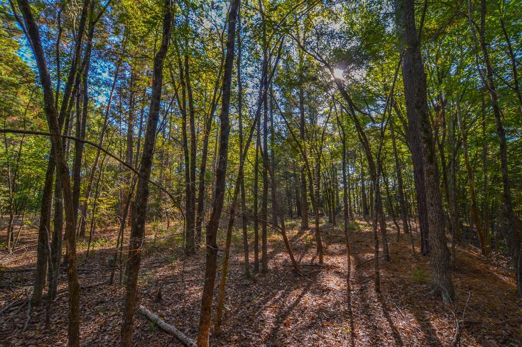 0 County Road 3409 Property Photo 27