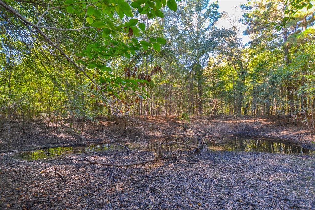 0 County Road 3409 Property Photo 28