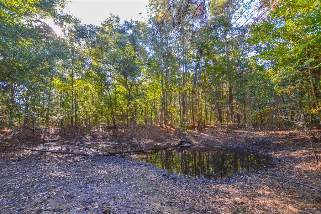 0 County Road 3409 Property Photo 29