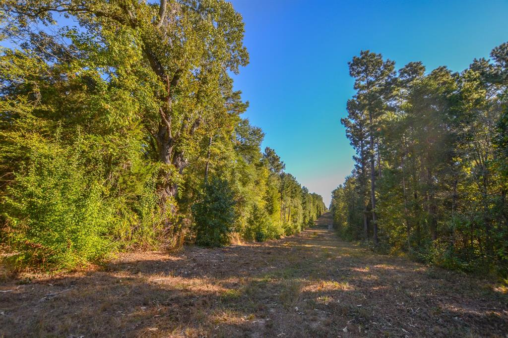 0 County Road 3409 Property Photo 32