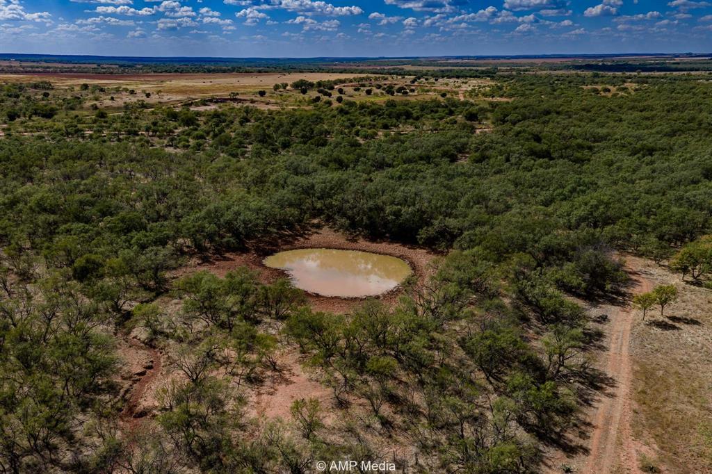 4538 County Road 463 Property Photo 18