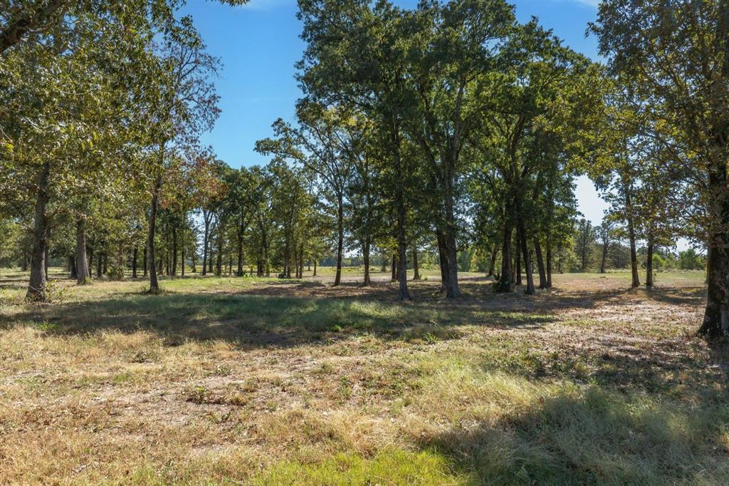 806 County Road 2918 Property Photo 10