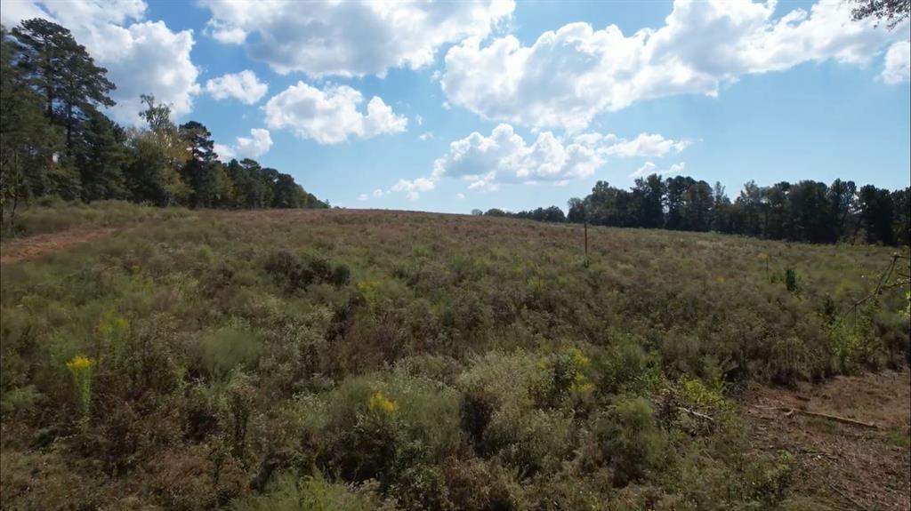 Tbd-c County Road 4172d Property Photo 3