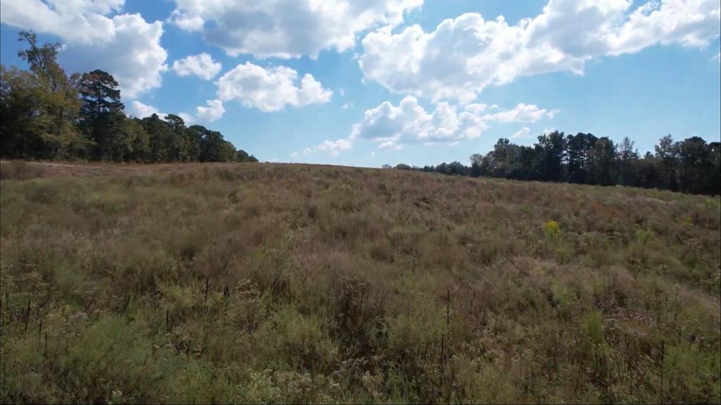 Tbd-c County Road 4172d Property Photo 4