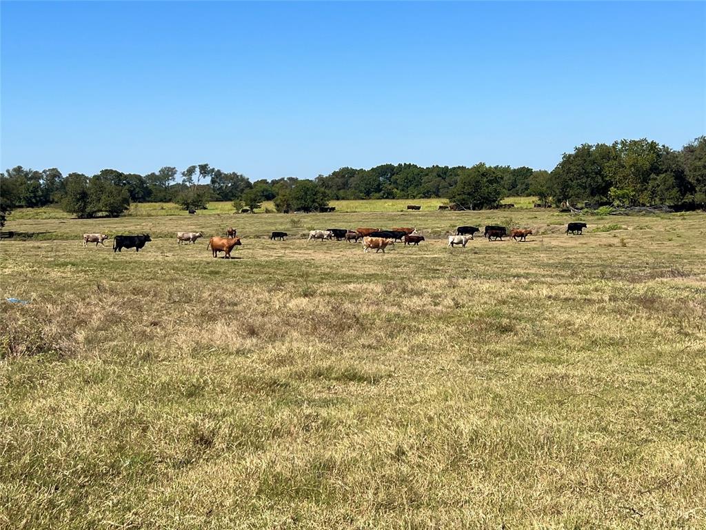 Tbd 1368 Acres Lowell Road Property Photo 1