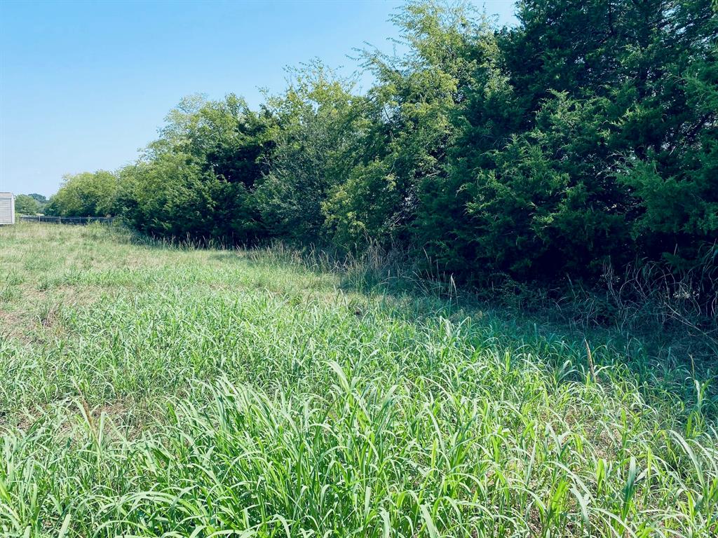 236 County Road 1450 Road