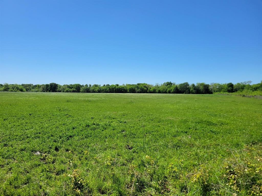 1567 Fm 1567 Property Photo 1