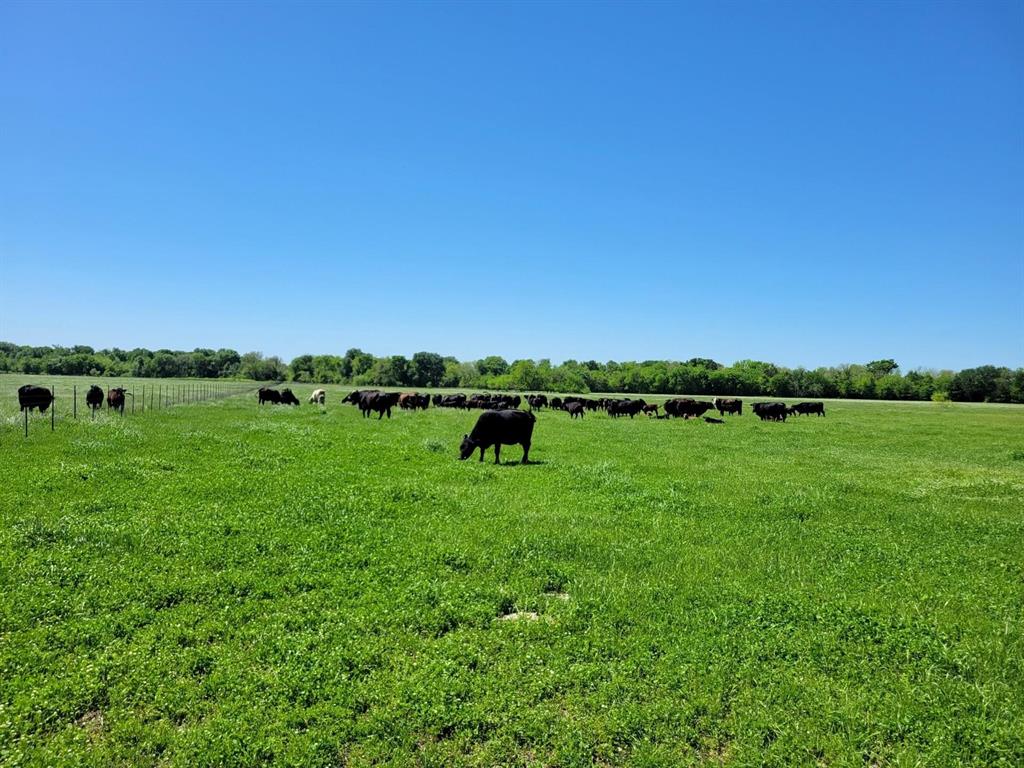 1567 Fm 1567 Property Photo 3