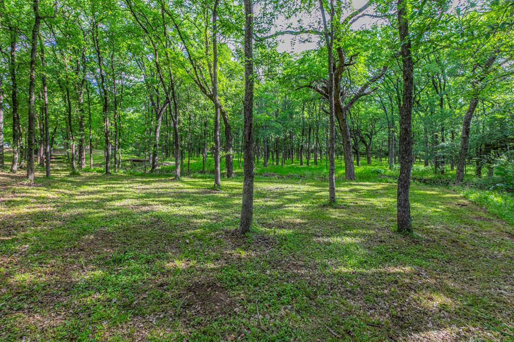 20 Independence Trail Property Photo 31