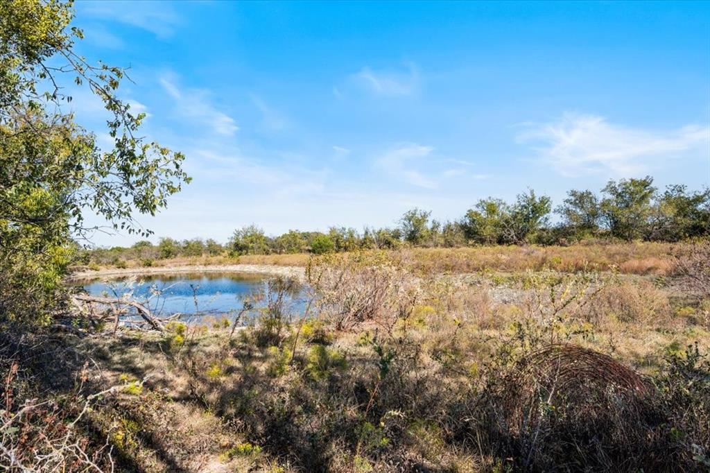 Tbd-82.6 Acres Farm Market 221 Property Photo 1